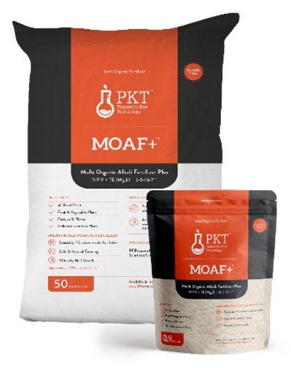 moaf-plus